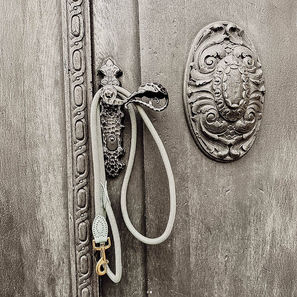 Ne&no® Tauleine für Hunde fixe Hundeleine: Sage Green / 120cm