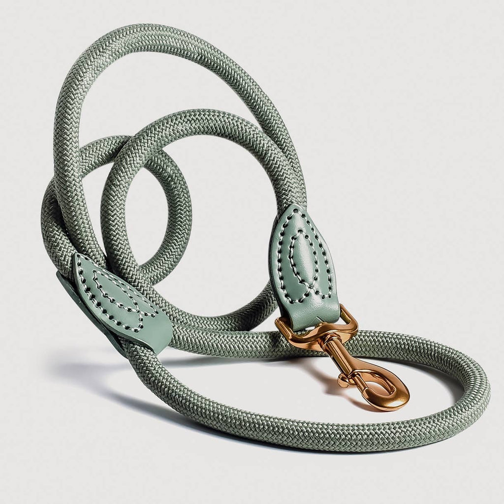 Ne&no® Tauleine für Hunde fixe Hundeleine: Sage Green / 120cm