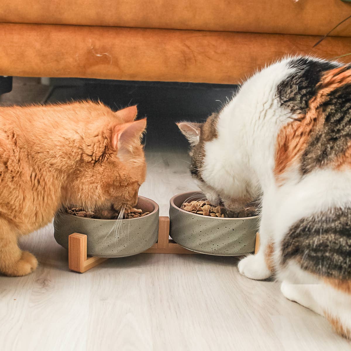 Ne&no® Keramik Doppelfutternapf mit Bambusständer I 2er