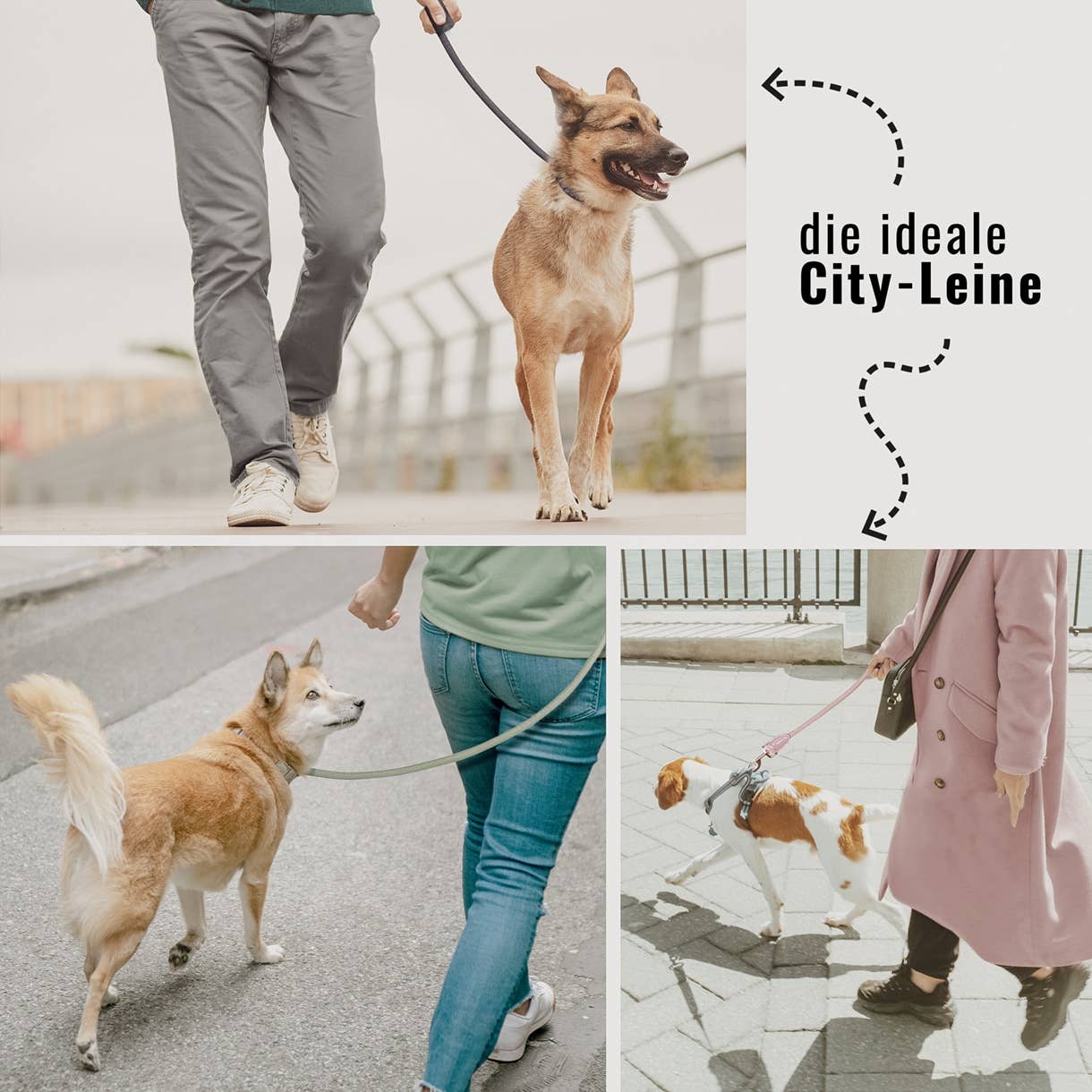 Ne&no® Tauleine für Hunde fixe Hundeleine: Taupe / 120cm
