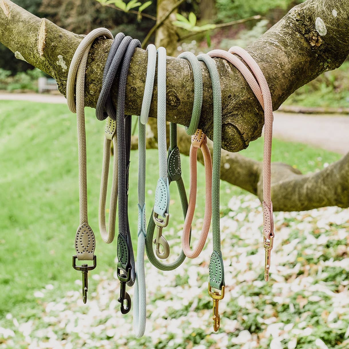 Ne&no® Tauleine für Hunde fixe Hundeleine: Sage Green / 120cm