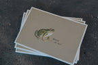 Wünsch dir was! | Postkarte | Geburtstag | Frosch