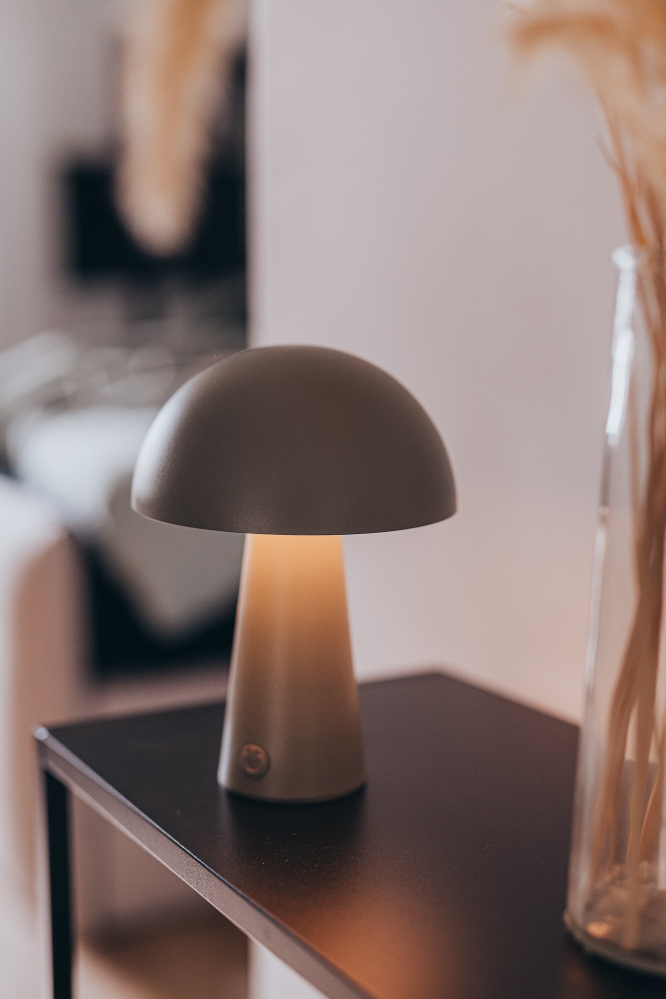 LED Tischlampe LED in Olive matt für In- und Outdoor